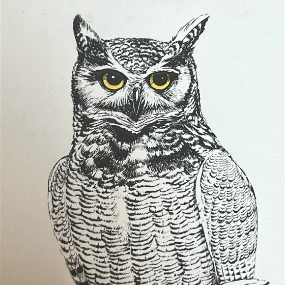 Vintage Ron M. Jenkins signed print of Great Horned Owl. Dated 1974. Matted - Picture 11 of 12